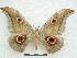  ( - PD-BC 2849)  @14 [ ] Copyright (2010) Unspecified Research Collection of Philippe Darge