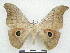  ( - PD-BC 2860)  @15 [ ] Copyright (2010) Unspecified Research Collection of Philippe Darge