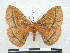  ( - PD-BC 2867)  @15 [ ] Copyright (2010) Unspecified Research Collection of Philippe Darge