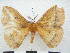 ( - PD-BC 2869)  @13 [ ] Copyright (2010) Unspecified Research Collection of Philippe Darge