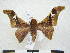  ( - PD-BC 2878)  @13 [ ] Copyright (2010) Unspecified Research Collection of Philippe Darge