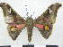  ( - PD-BC 2879)  @13 [ ] Copyright (2010) Unspecified Research Collection of Philippe Darge