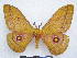  ( - PD-BC 2894)  @14 [ ] Copyright (2010) Unspecified Research Collection of Philippe Darge