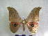  ( - PD-BC 2361)  @12 [ ] Copyright (2010) Unspecified Research Collection of Philippe Darge