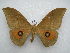  ( - PD-BC 2491)  @13 [ ] Copyright (2010) Unspecified Research Collection of Philippe Darge
