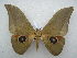  ( - PD-BC 2495)  @14 [ ] Copyright (2010) Unspecified Research Collection of Philippe Darge