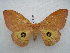  ( - PD-BC 2531)  @11 [ ] Copyright (2010) Unspecified Research Collection of Philippe Darge