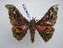 ( - PD-BC 2572)  @13 [ ] Copyright (2010) Unspecified Research Collection of Philippe Darge