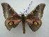  ( - PD-BC 2599)  @13 [ ] Copyright (2010) Unspecified Research Collection of Philippe Darge