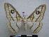  ( - PD-BC-1349)  @14 [ ] Copyright (2010) Unspecified Research Collection of Philippe Darge