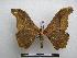  ( - PD-BC-1396)  @14 [ ] Copyright (2010) Unspecified Research Collection of Philippe Darge