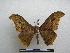  ( - PD-BC-1397)  @14 [ ] Copyright (2010) Unspecified Research Collection of Philippe Darge