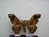  ( - PD-BC-1476)  @14 [ ] Copyright (2010) Unspecified Research Collection of Philippe Darge