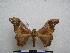  ( - PD-BC-1478)  @14 [ ] Copyright (2010) Unspecified Research Collection of Philippe Darge