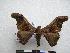  ( - PD-BC-1479)  @14 [ ] Copyright (2010) Unspecified Research Collection of Philippe Darge