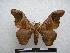  ( - PD-BC-1491)  @14 [ ] Copyright (2010) Unspecified Research Collection of Philippe Darge
