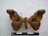  ( - PD-BC-1492)  @14 [ ] Copyright (2010) Unspecified Research Collection of Philippe Darge