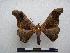  ( - PD-BC-1493)  @14 [ ] Copyright (2010) Unspecified Research Collection of Philippe Darge