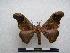  ( - PD-BC-1494)  @14 [ ] Copyright (2010) Unspecified Research Collection of Philippe Darge