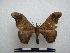  ( - PD-BC-1495)  @14 [ ] Copyright (2010) Unspecified Research Collection of Philippe Darge
