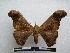  ( - PD-BC-1497)  @14 [ ] Copyright (2010) Unspecified Research Collection of Philippe Darge