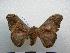  ( - PD-BC-1510)  @14 [ ] Copyright (2010) Unspecified Research Collection of Philippe Darge