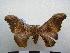 ( - PD-BC-1513)  @14 [ ] Copyright (2010) Unspecified Research Collection of Philippe Darge