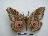  ( - PD-BC-1541)  @14 [ ] Copyright (2010) Unspecified Research Collection of Philippe Darge
