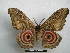  ( - PD-BC-1562)  @14 [ ] Copyright (2010) Unspecified Research Collection of Philippe Darge