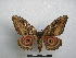  ( - PD-BC-1563)  @14 [ ] Copyright (2010) Unspecified Research Collection of Philippe Darge