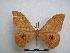  ( - PD-BC-1592)  @13 [ ] Copyright (2010) Unspecified Research Collection of Philippe Darge