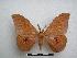  ( - PD-BC-1593)  @13 [ ] Copyright (2010) Unspecified Research Collection of Philippe Darge