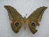  ( - PD-BC 2652)  @13 [ ] Copyright (2010) Unspecified Research Collection of Philippe Darge