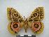  ( - PD-BC-2150)  @14 [ ] Copyright (2010) Unspecified Research Collection of Philippe Darge