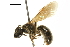  ( - BIOUG22387-G06)  @13 [ ] CreativeCommons - Attribution (2018) CBG Photography Group Centre for Biodiversity Genomics
