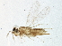  ( - BIOUG05962-B02)  @13 [ ] CreativeCommons - Attribution (2014) CBG Photography Group Centre for Biodiversity Genomics
