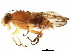  ( - BIOUG05966-A03)  @11 [ ] CreativeCommons - Attribution (2016) CBG Photography Group Centre for Biodiversity Genomics