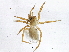  ( - BIOUG06316-F04)  @12 [ ] CreativeCommons - Attribution (2014) CBG Photography Group Centre for Biodiversity Genomics