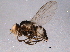  ( - BIOUG06725-C10)  @12 [ ] CreativeCommons - Attribution (2014) CBG Photography Group Centre for Biodiversity Genomics