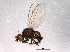  ( - BIOUG05098-E12)  @13 [ ] CreativeCommons - Attribution (2014) CBG Photography Group Centre for Biodiversity Genomics