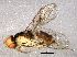  ( - BIOUG05160-G06)  @13 [ ] CreativeCommons - Attribution (2014) CBG Photography Group Centre for Biodiversity Genomics