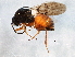  ( - BIOUG05177-H08)  @14 [ ] CreativeCommons - Attribution (2014) CBG Photography Group Centre for Biodiversity Genomics