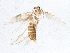  ( - BIOUG05153-B02)  @12 [ ] CreativeCommons - Attribution (2014) CBG Photography Group Centre for Biodiversity Genomics
