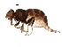  ( - BIOUG05968-H10)  @12 [ ] CreativeCommons - Attribution (2016) CBG Photography Group Centre for Biodiversity Genomics