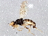  ( - BIOUG06306-H08)  @14 [ ] CreativeCommons - Attribution (2014) CBG Photography Group Centre for Biodiversity Genomics