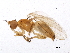  ( - BIOUG06429-E09)  @13 [ ] CreativeCommons - Attribution (2014) CBG Photography Group Centre for Biodiversity Genomics