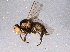  ( - BIOUG06430-E02)  @12 [ ] CreativeCommons - Attribution (2014) CBG Photography Group Centre for Biodiversity Genomics