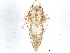  ( - BIOUG06010-E11)  @13 [ ] CreativeCommons - Attribution (2014) CBG Photography Group Centre for Biodiversity Genomics