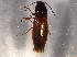  ( - BIOUG05846-B05)  @13 [ ] CreativeCommons - Attribution (2014) CBG Photography Group Centre for Biodiversity Genomics