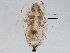  ( - BIOUG06901-E02)  @12 [ ] CreativeCommons - Attribution (2014) CBG Photography Group Centre for Biodiversity Genomics